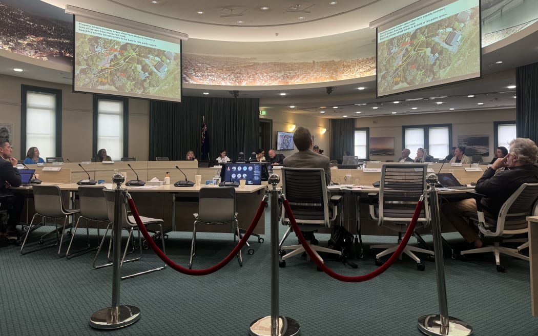 The group presenting to the Transport, Resilience and Infrastructure Committee on Thursday.