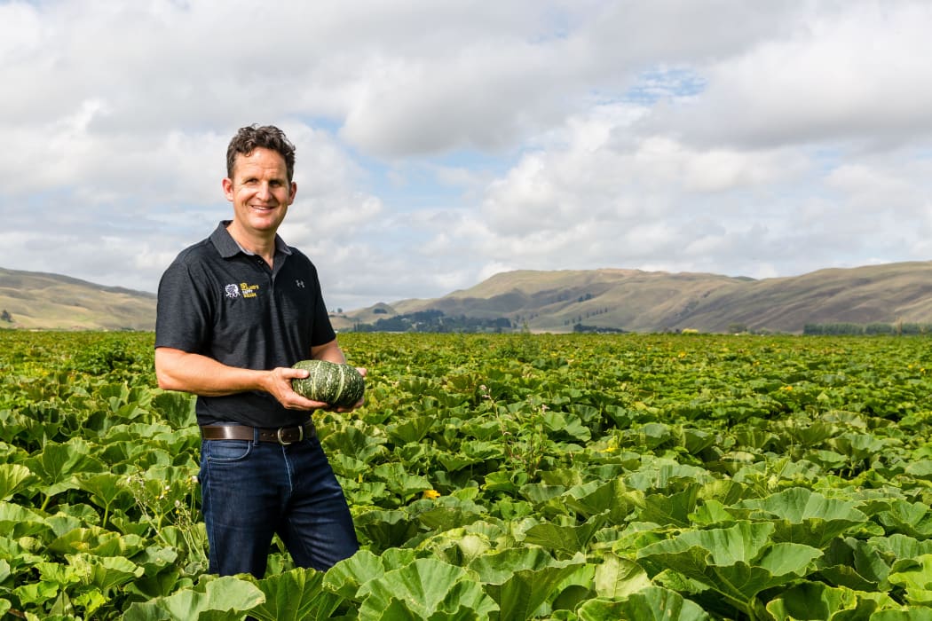 Hawke's Bay buttercup squash grower Shane Newman