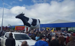 About 500 people turned out for the Morrinsville protest.