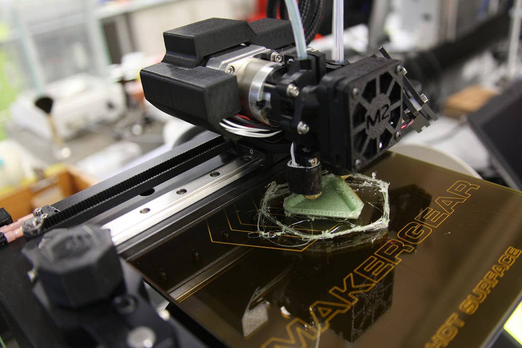 Going bio: the next frontier in 3D and 4D printing