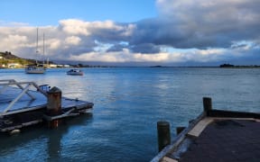 Scene at Moncks Bay after whale stranding