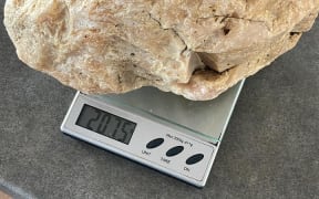 The lump of kauri resin found by 9 year old Callan and seven year old Eva McMillan while wandering the shore in Coromandel.