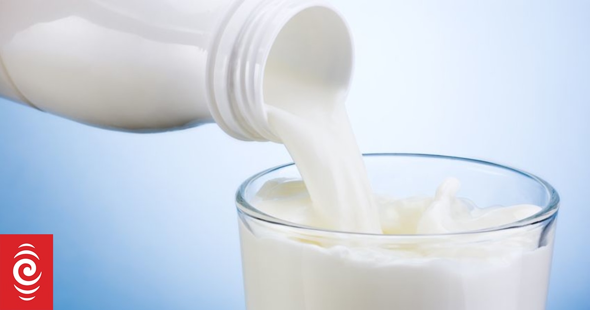 Weakening trend sees ANZ Bank cuts its farmgate milk price by 3.5 percent