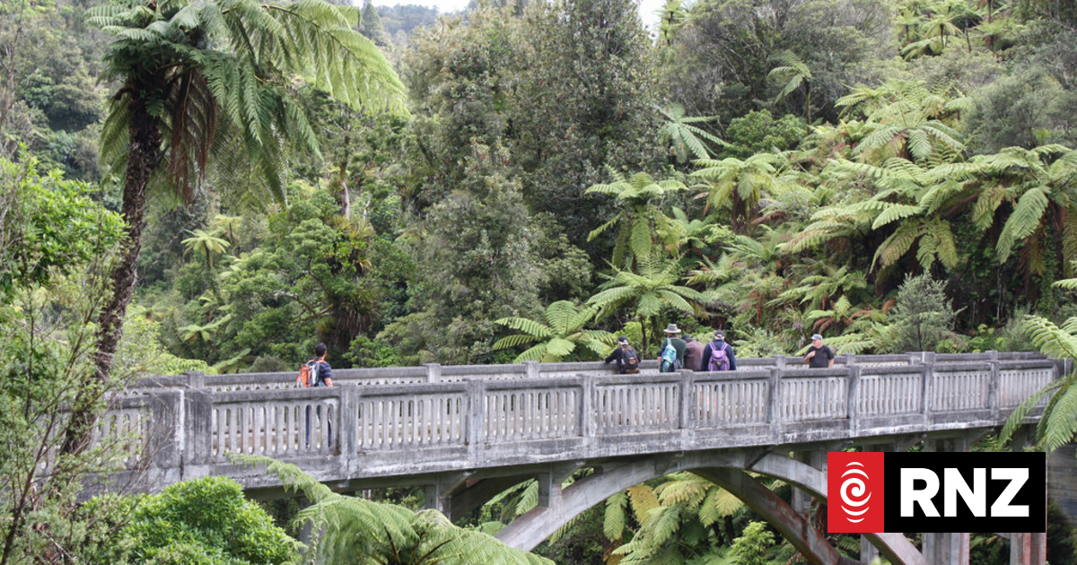 Bookings for more Great Walks run smoothly after earlier failures - Vimarsana News