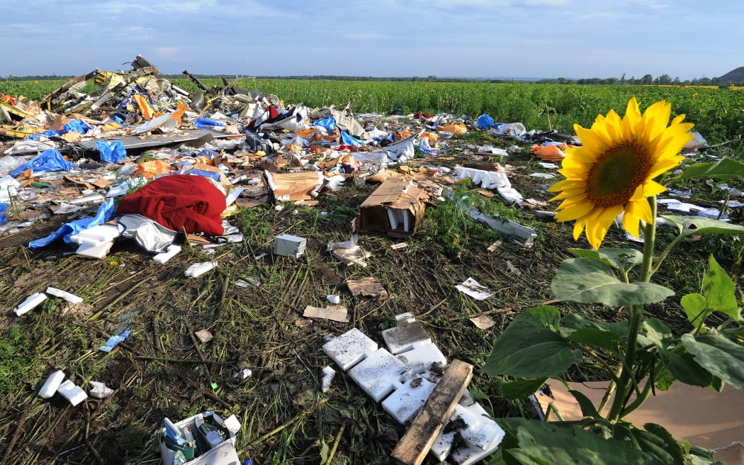 Debris from the downed Malaysian Airliner in sunflower field near the village of Rassipnoe in Ukraine.