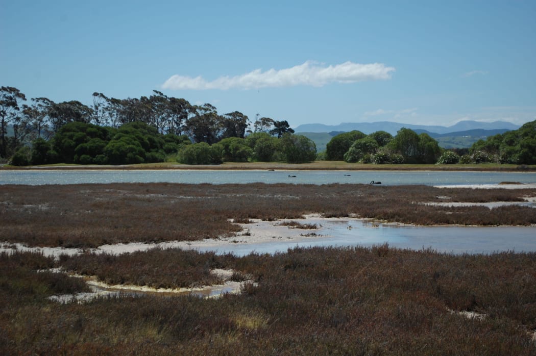 Napier Cycle Trail