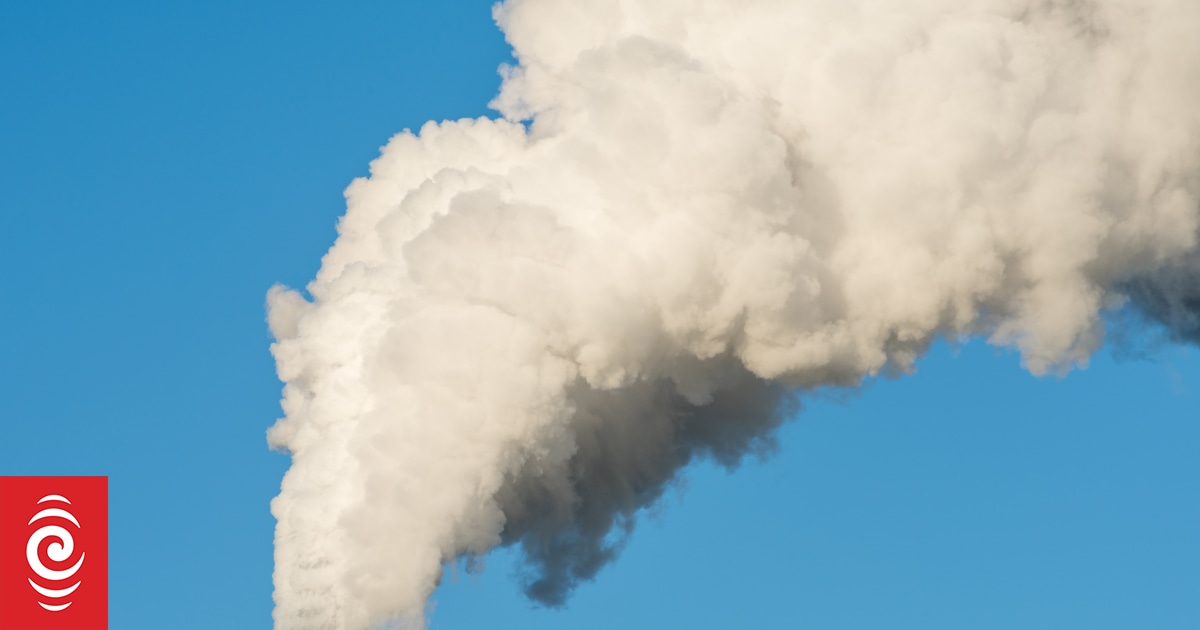 New Kawerau wood pellet plant to cut coal use, offset emission