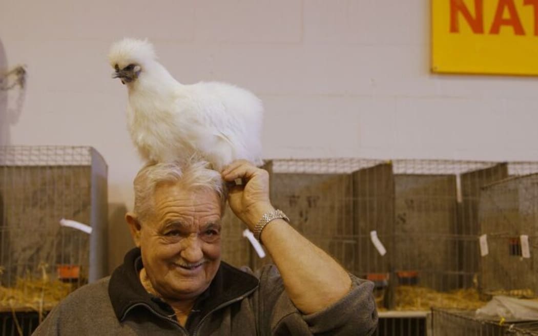 Pecking Order