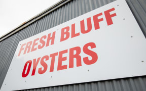 Bluff Oysters