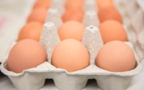 Generic eggs in cartons