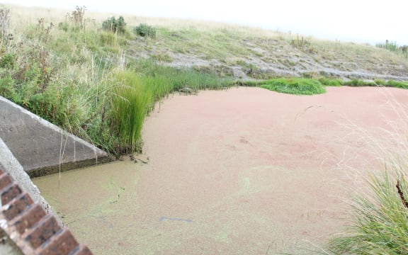 Waihora stream