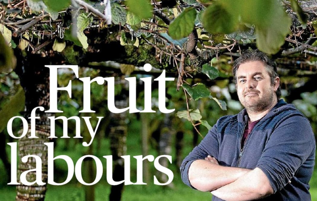 Matt Shand does the mahi and the maths picking kiwifruit for The Sunday Star Times.