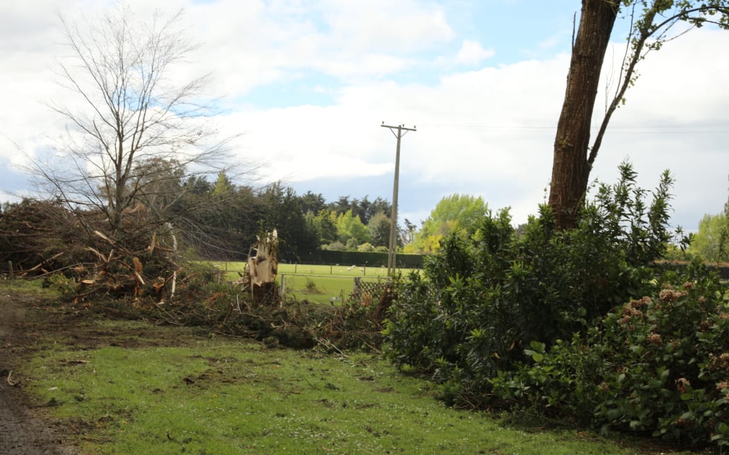 Southland farm with trees down - Winton