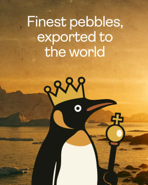 Owners of creative studio Kindred Milla Novak and Janelle Mais have launched a new penguin-backed export business selling pebbles - symbolic of the fact they live on a rocky outcrop, with all proceedings going to the colonies of Heard Island.