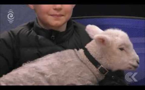 Rob Hamill on NZ's Olympic success   and a lamb