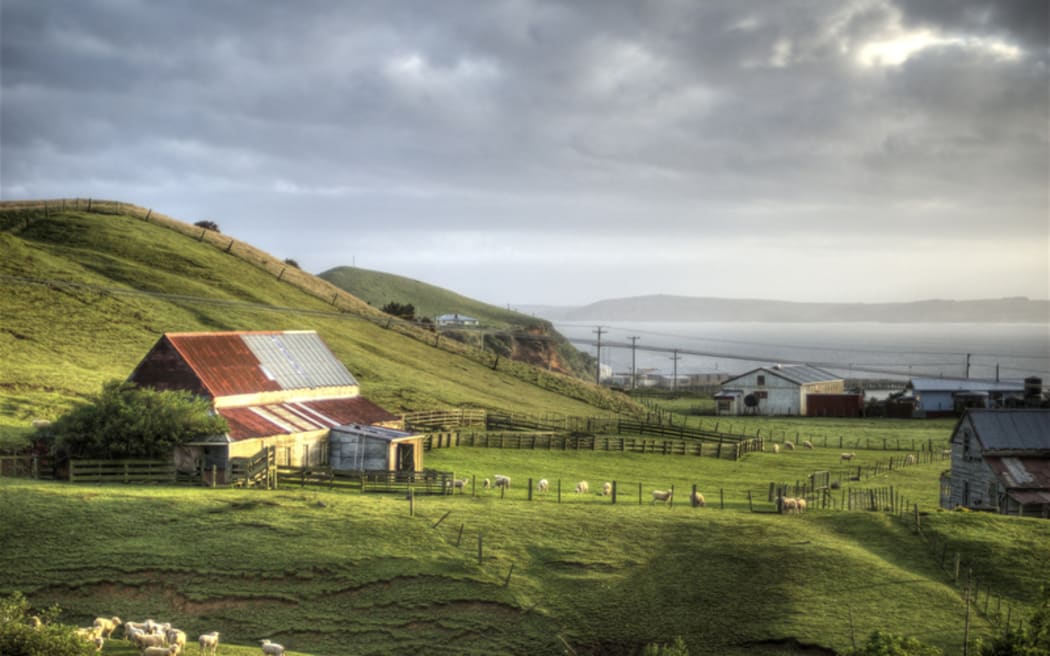Chatham Islands. September 2007.