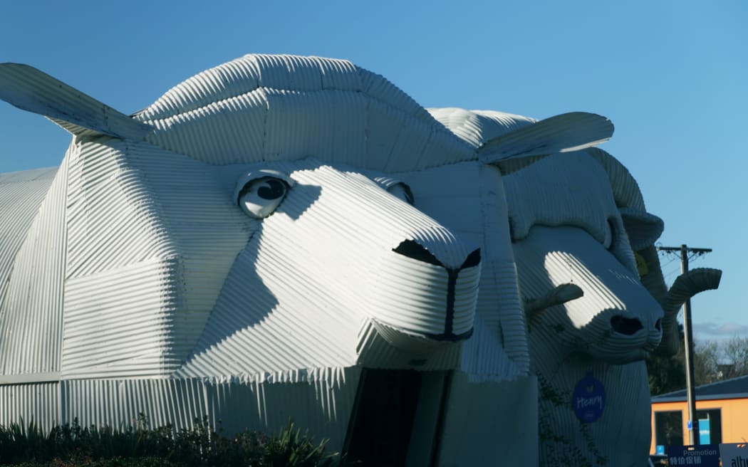蒂劳 (Tīrau) 以其标志性的波纹铁皮建筑和标志而闻名,深受游客喜爱,纷纷与其合影留念。