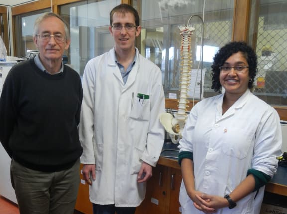 A picture of Neil Broom, Kelly Wade and Samantha Rodrigues with a model of a human spine