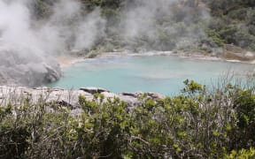 Te Puia, Whakarewarewa thermal valley