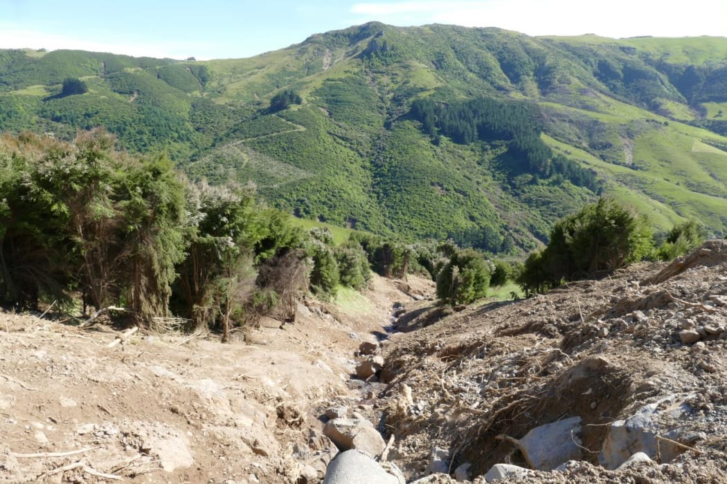 A slip from the upper valley in Goughs Bay down to the stream