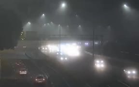 Fog on an Auckland motorway