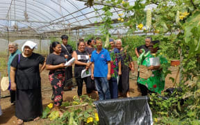 China-Tonga agricultural collaboration tackles food security and health issues. Photo/MAFF/talanoaotonga