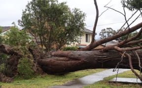 Thousands remain without power or have been forced to evacuate due to coastal erosion risks.