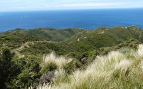 Te Kopahou Reserve, Wellington