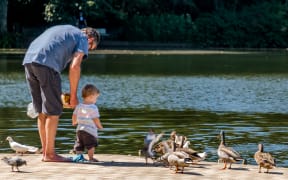 Family feeding the local ducks in Hamilton Gardens, New Zealand.