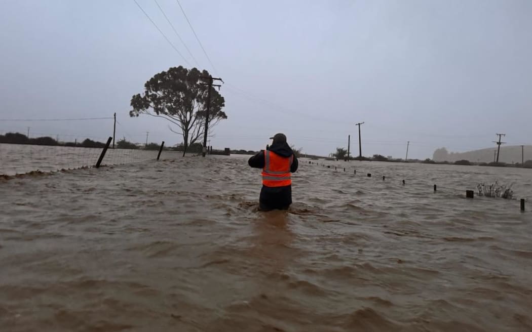 Farmer rescues sheep stranded in Banks Peninsula floodwaters | RNZ News