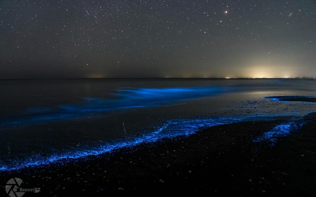 Bioluminescence light show on  Paraparaumu beach