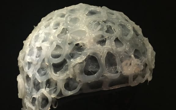 A kakapo ejaculation helmet from Te Papa, 2017