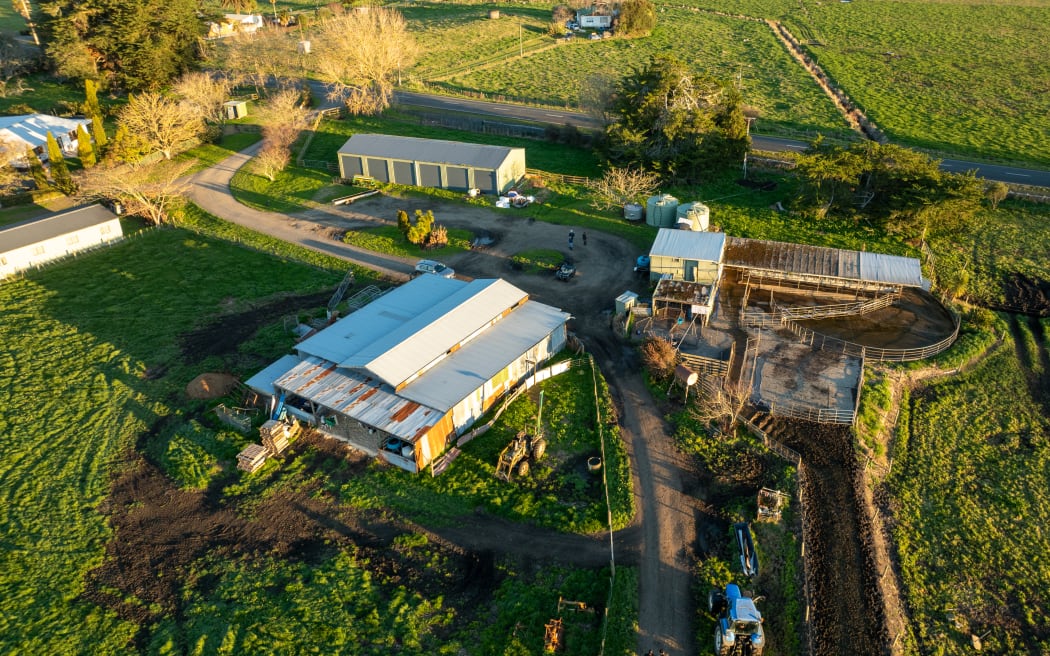 The Bindra family owns three dairy farms with a total area of around 260 hectares on which they milk more than 500 cows, producing about 12,000 litres every day.