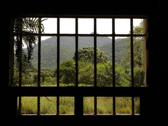 Prison in the jungle