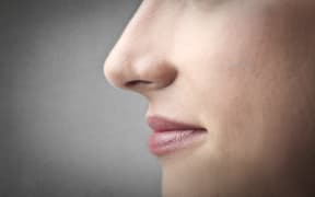 22776244 - woman's nose