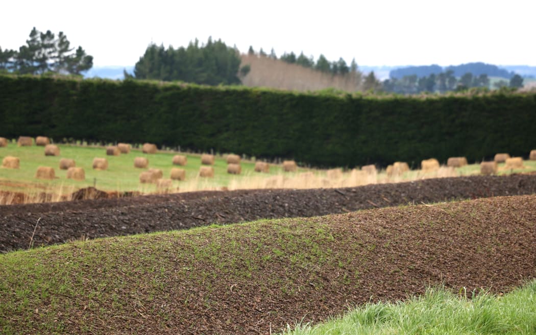 Mark Anderson - Regenerative Farmer in South Otago