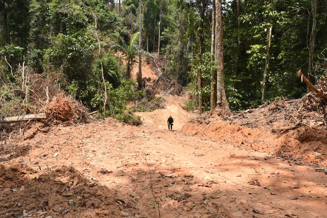 Deforestation in Brazil's Amazon rainforest rose by almost 22 percent from August 2020 to July 2021.