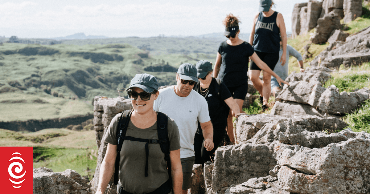 Country Life: Hawke's Bay farm welcomes walkers