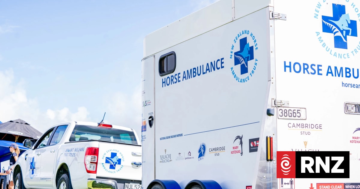 The story behind New Zealand's horse ambulance service