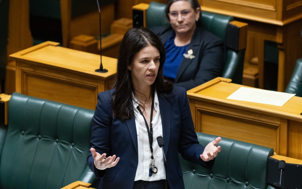 National Party MP, Erica Stanford speaking in the House.
