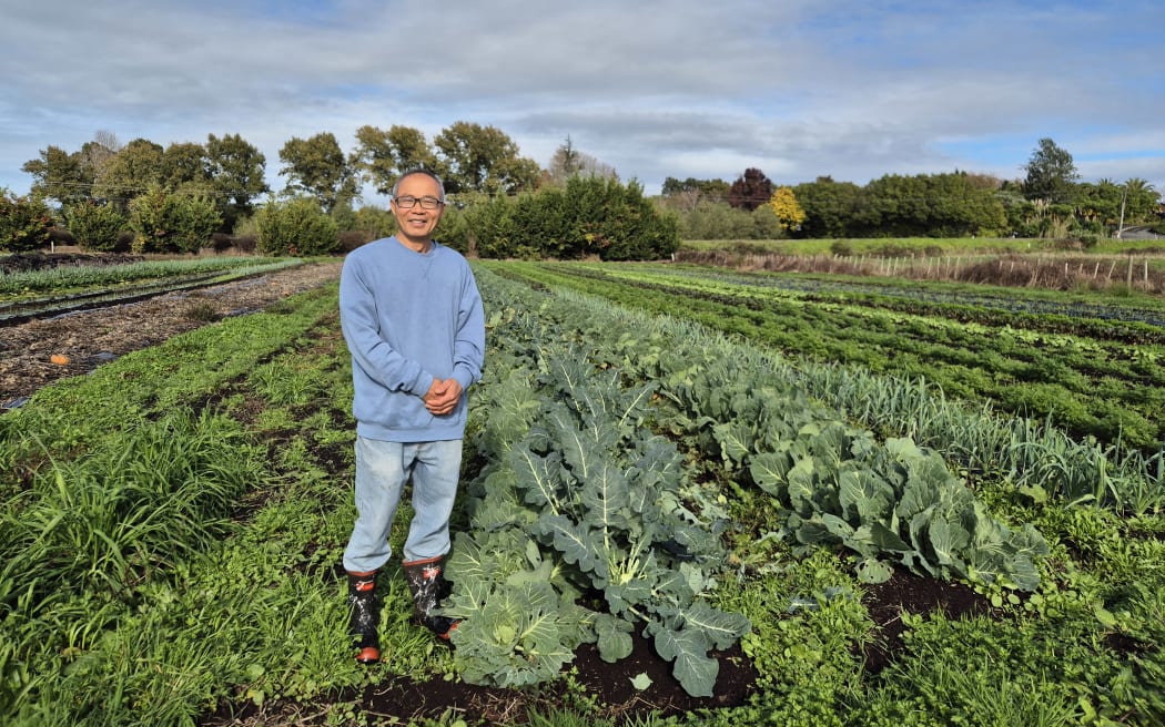 David Ruan's grows spray-free vegetables, which he sells at the local farmers' market under Suncakes Gardens.