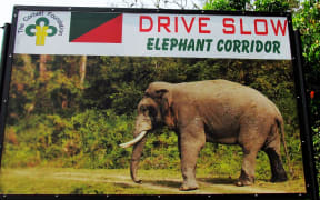 A road sign in India that Drive Slow Elephant Corridor, bearing a picture of an elephant
