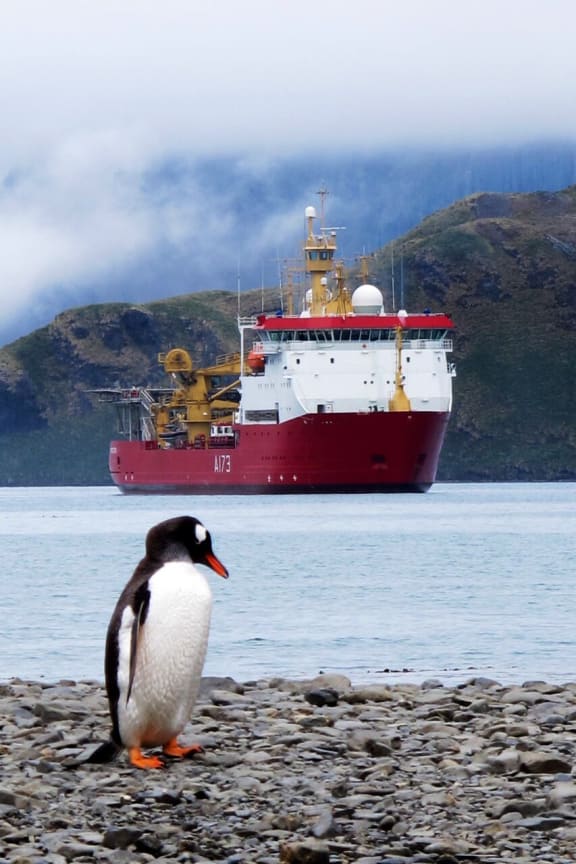 The British ice patrol ship HMS Protector 
patrolled the Southern Ocean around Antarctica.