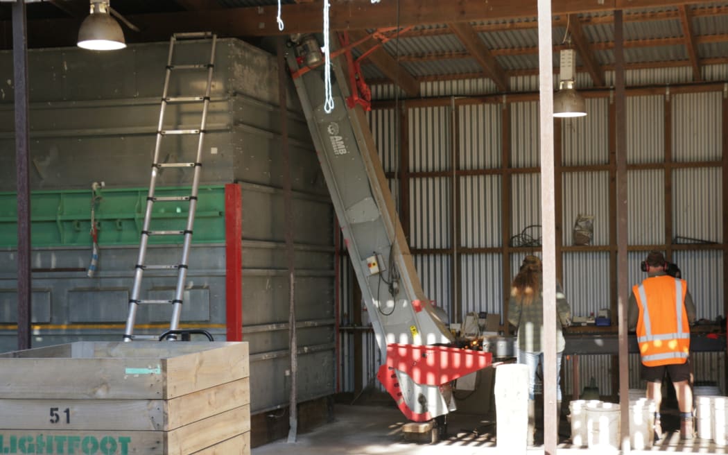 Walnut harvesting at Lightfoot Walnuts