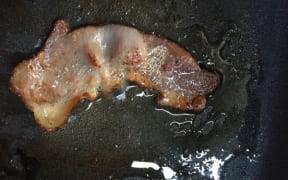 Bacon