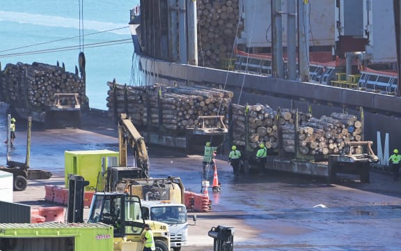 Only four of 40 stevedores were vaccinated against Covid-19 in the first week of the Gisborne border rollout, but Hauora Tairāwhiti says more have been vaccinated since.