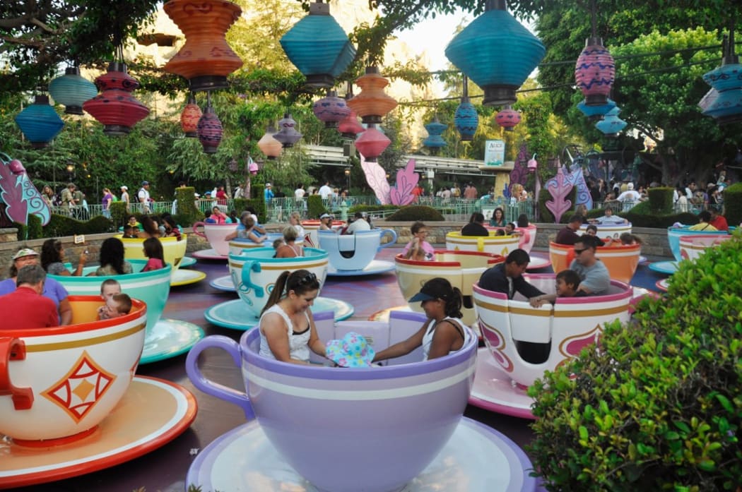 Disneyland is an amusement park opened by Walt Disney company in Anaheim. (Photo by Natalia Seliverstova / Sputnik / Sputnik via AFP)