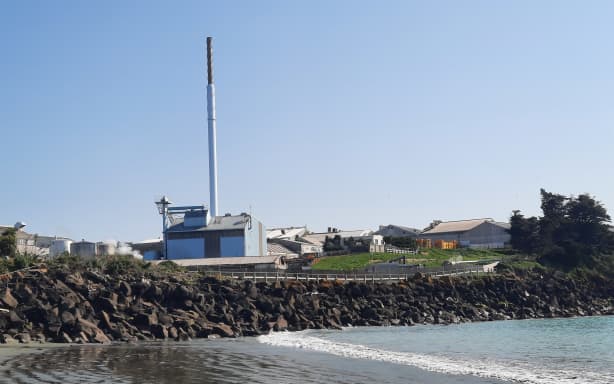 Smithfield meatworks closure already impacting local economy | RNZ