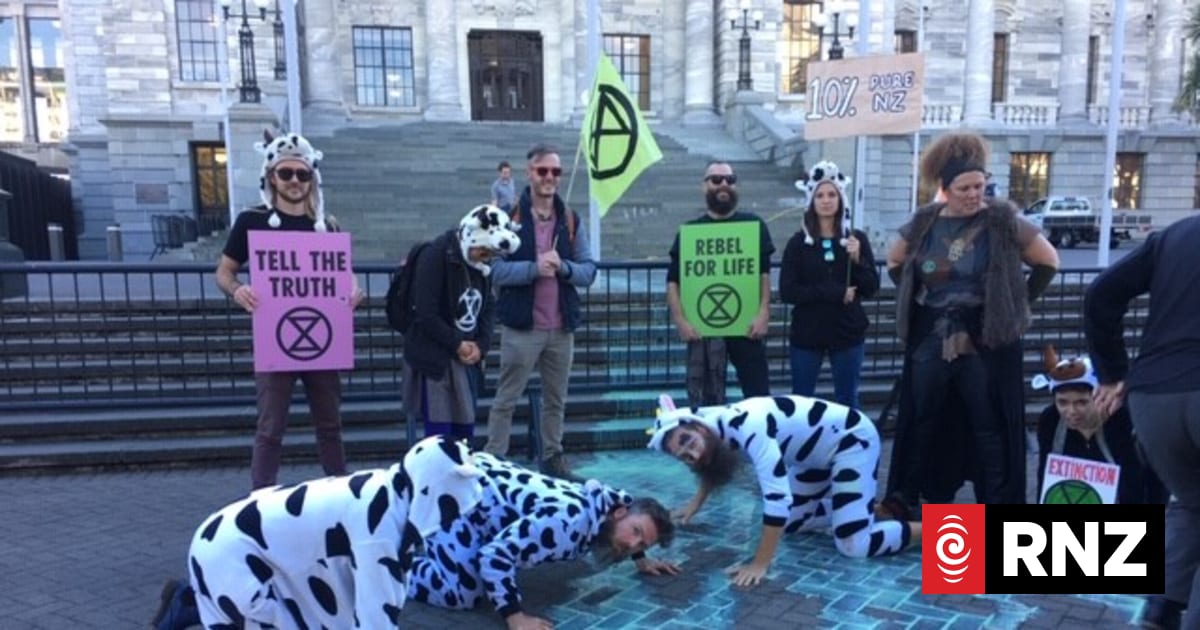 'Our milk has gone sour' - activists protest dairy industry at ...