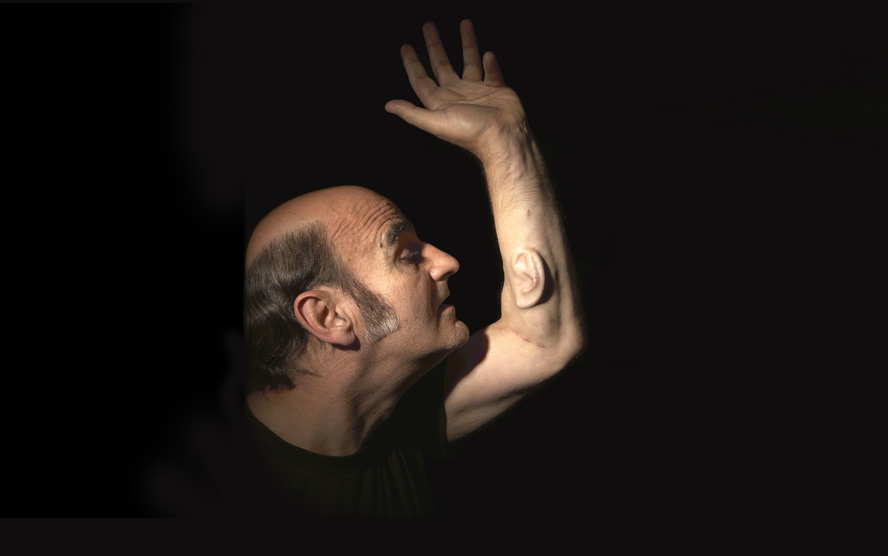 Performance artist, Stelarc